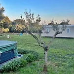 Casa Vala Romana with Jacuzzi&Big Garden