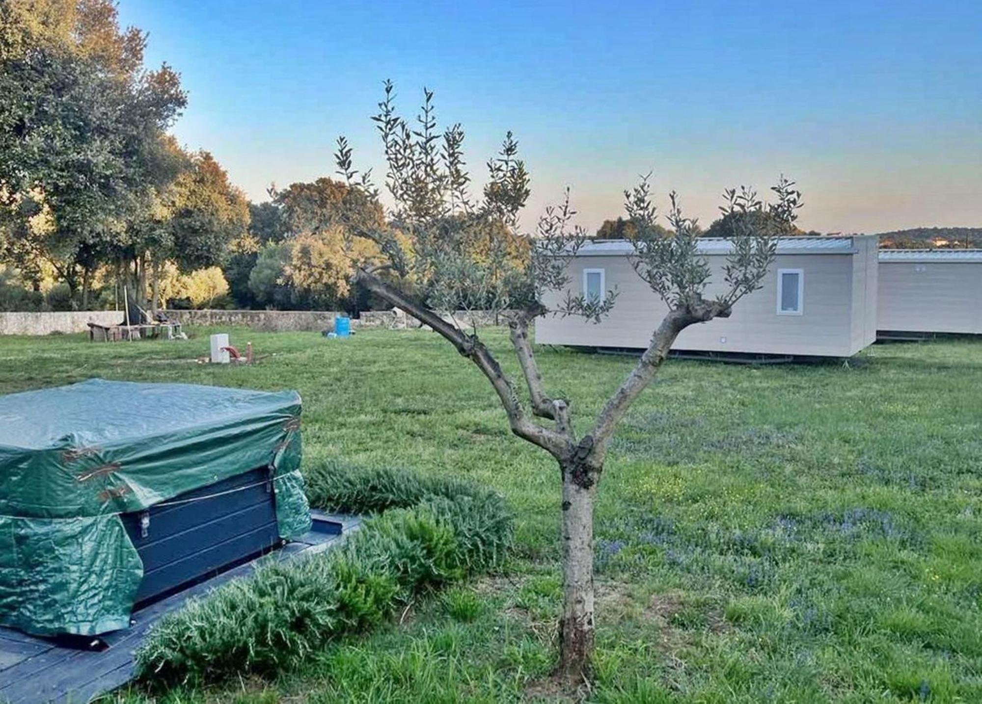 Casa vacanze Casa Vala Romana With Jacuzzi&big Garden Pola